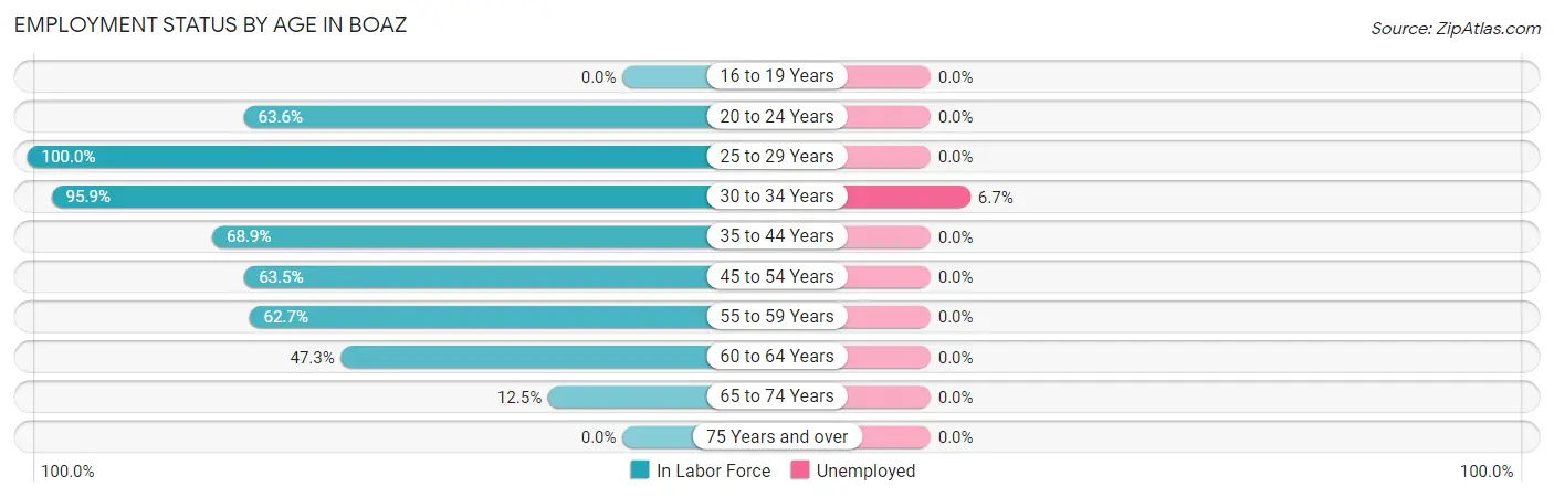 Employment Status by Age in Boaz