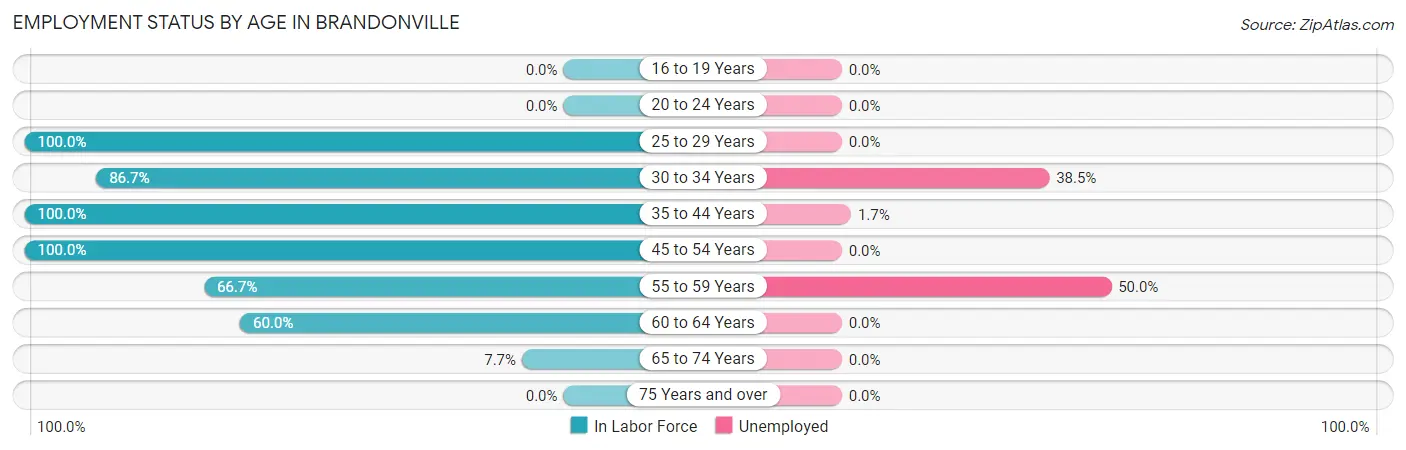 Employment Status by Age in Brandonville