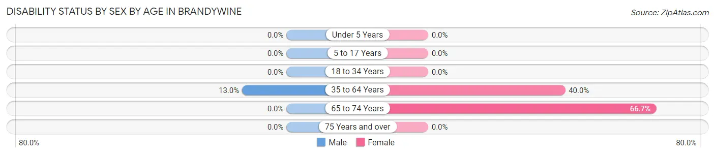 Disability Status by Sex by Age in Brandywine