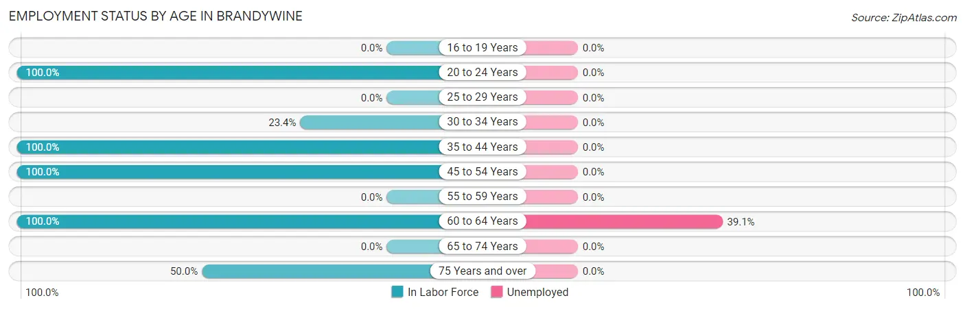 Employment Status by Age in Brandywine