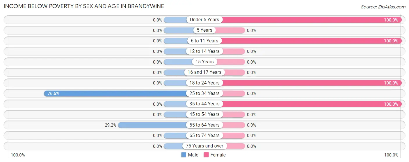 Income Below Poverty by Sex and Age in Brandywine