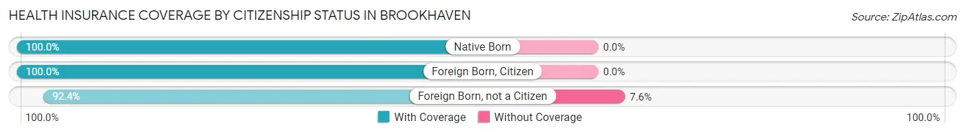 Health Insurance Coverage by Citizenship Status in Brookhaven