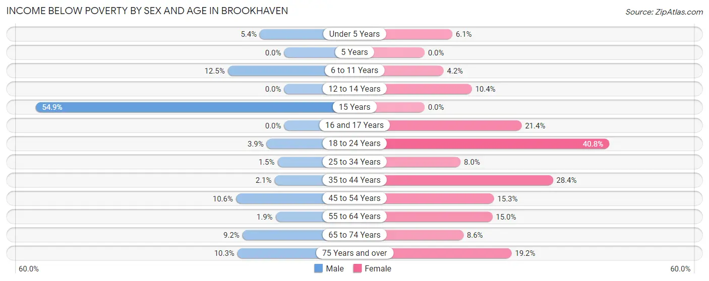 Income Below Poverty by Sex and Age in Brookhaven
