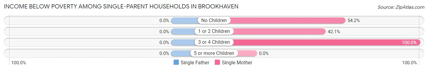 Income Below Poverty Among Single-Parent Households in Brookhaven