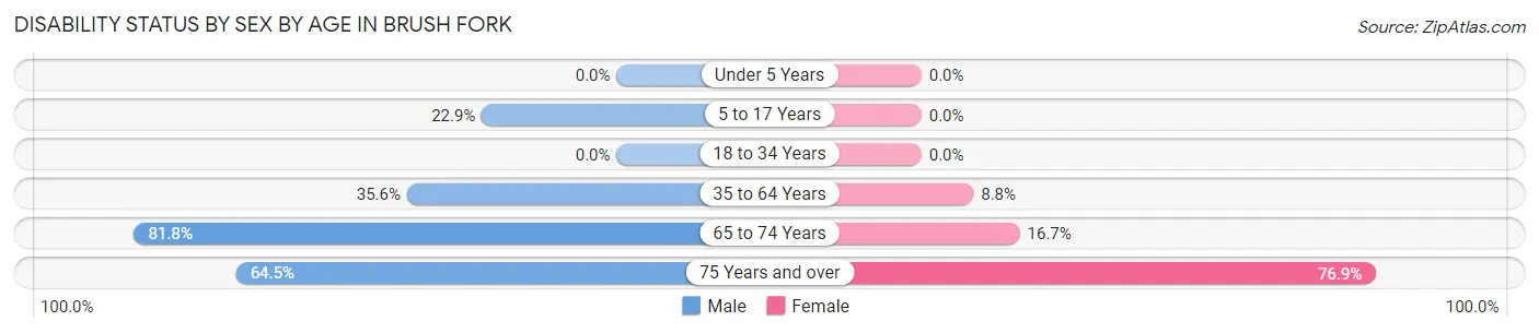 Disability Status by Sex by Age in Brush Fork