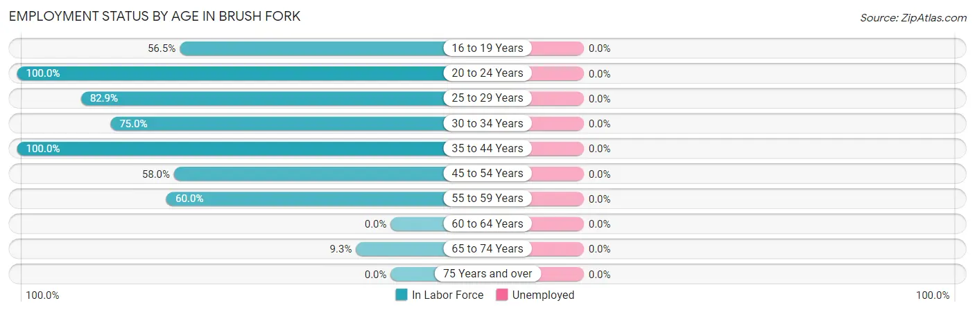 Employment Status by Age in Brush Fork