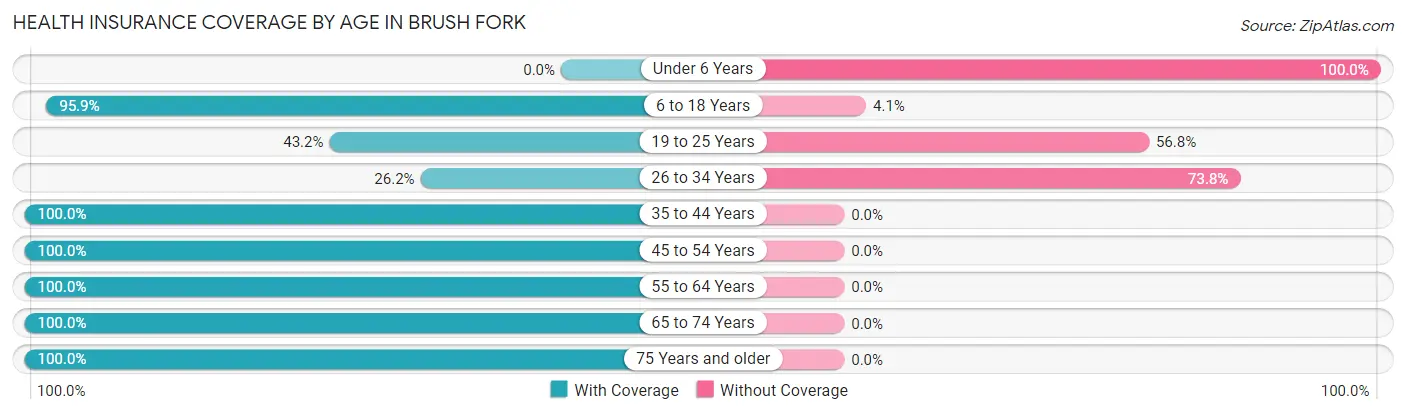 Health Insurance Coverage by Age in Brush Fork