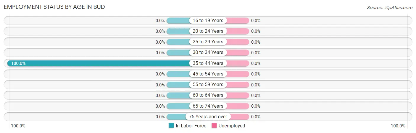 Employment Status by Age in Bud