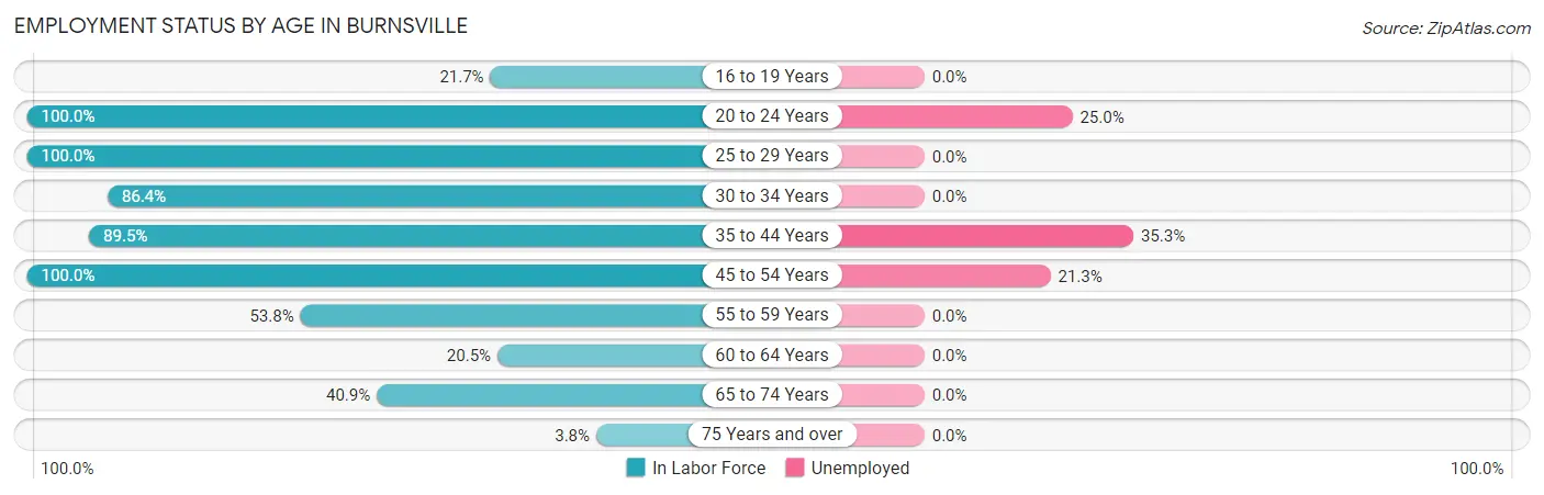 Employment Status by Age in Burnsville