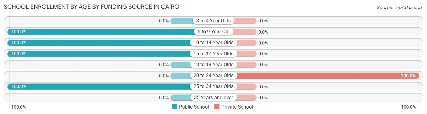 School Enrollment by Age by Funding Source in Cairo