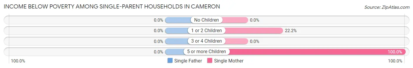 Income Below Poverty Among Single-Parent Households in Cameron