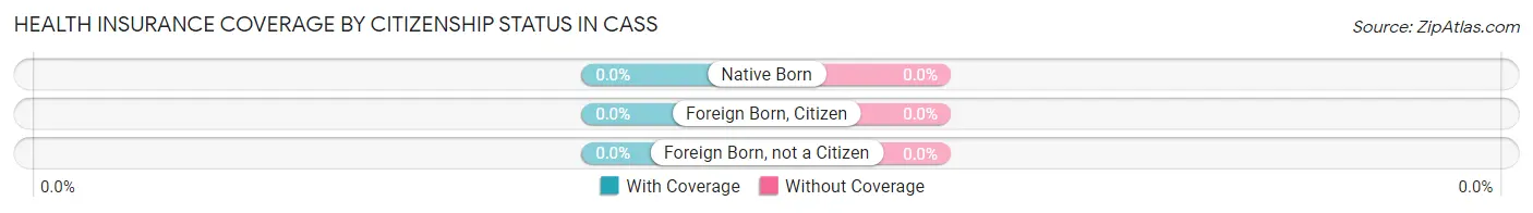 Health Insurance Coverage by Citizenship Status in Cass