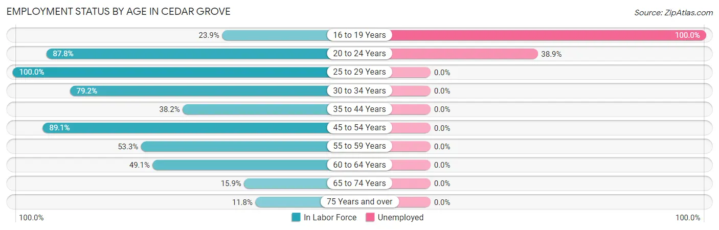 Employment Status by Age in Cedar Grove