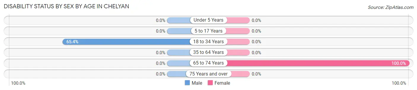 Disability Status by Sex by Age in Chelyan