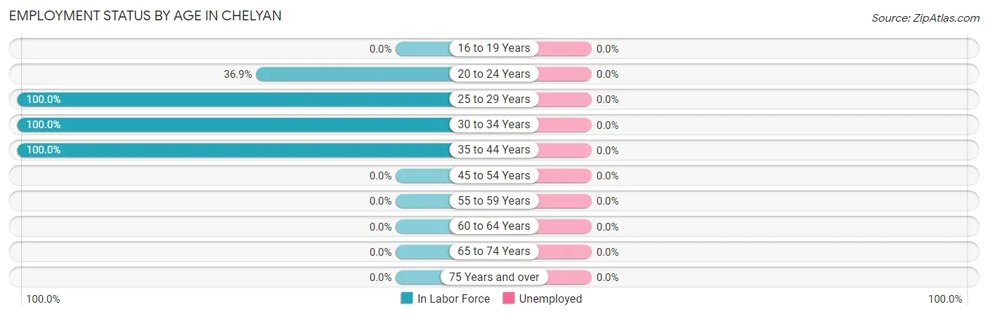 Employment Status by Age in Chelyan