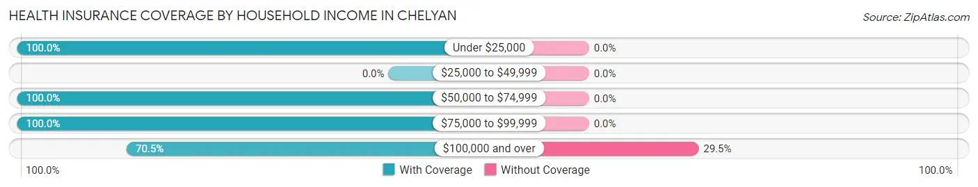 Health Insurance Coverage by Household Income in Chelyan