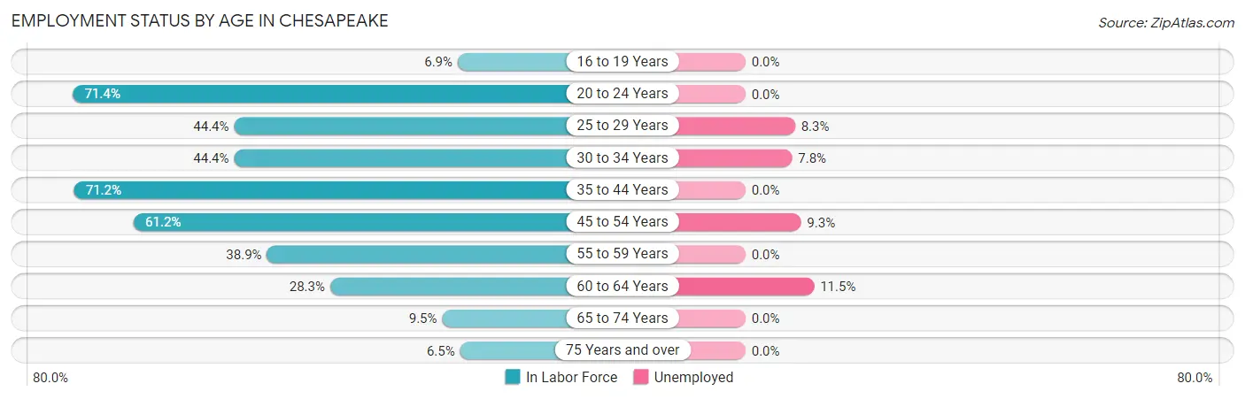 Employment Status by Age in Chesapeake