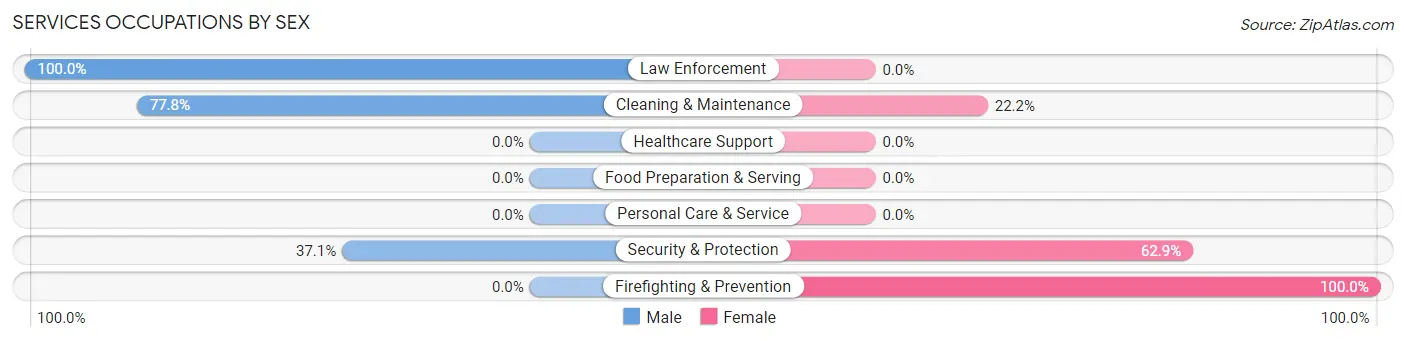 Services Occupations by Sex in Chester