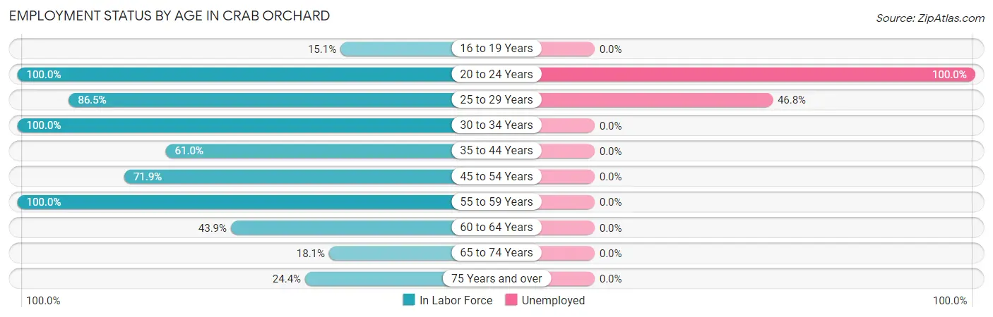 Employment Status by Age in Crab Orchard