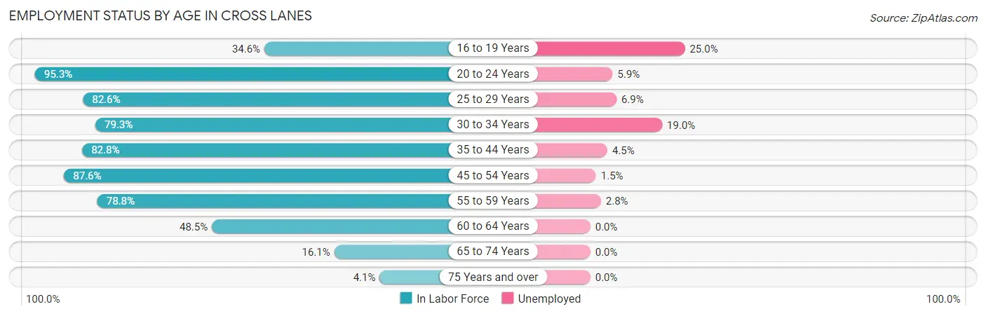 Employment Status by Age in Cross Lanes