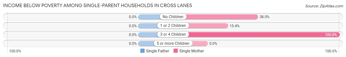 Income Below Poverty Among Single-Parent Households in Cross Lanes