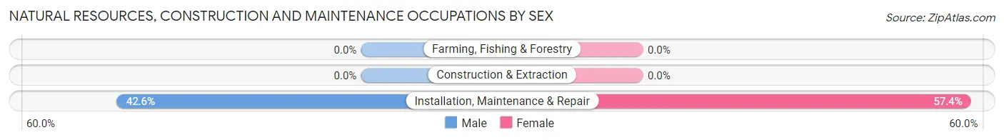 Natural Resources, Construction and Maintenance Occupations by Sex in Culloden