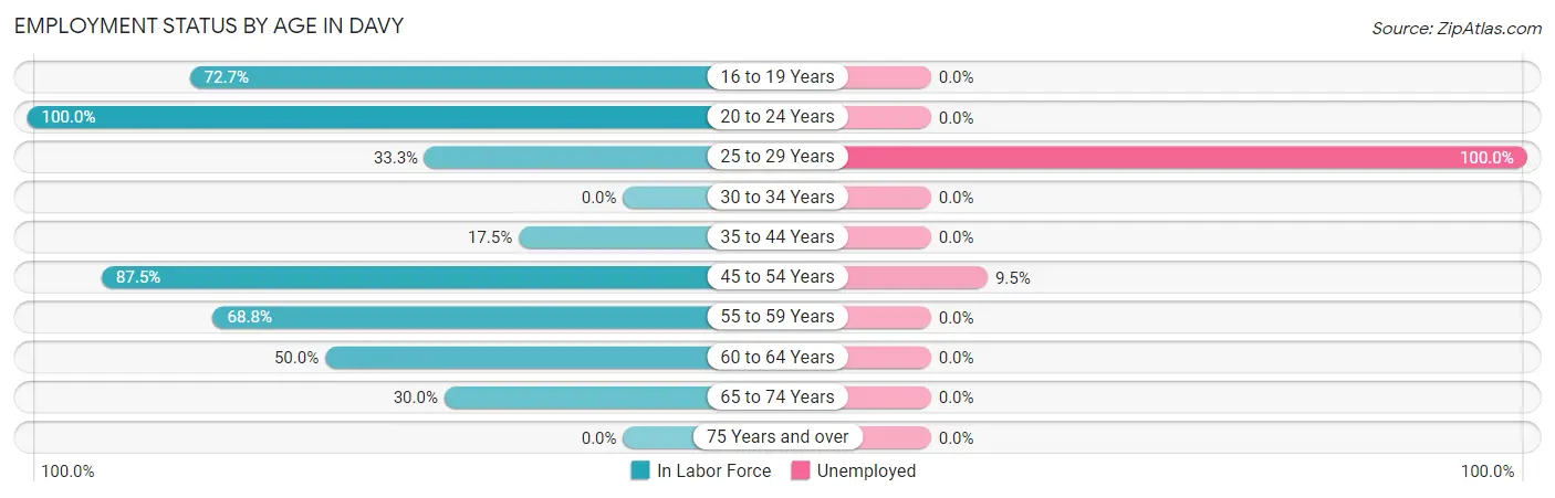 Employment Status by Age in Davy