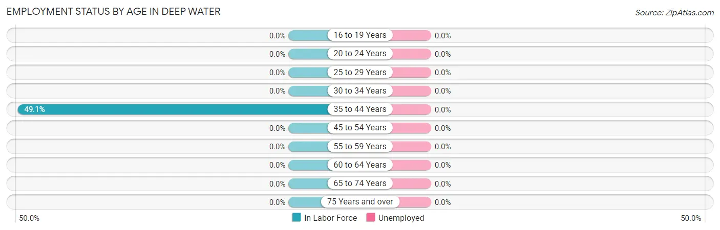 Employment Status by Age in Deep Water