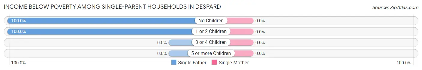 Income Below Poverty Among Single-Parent Households in Despard