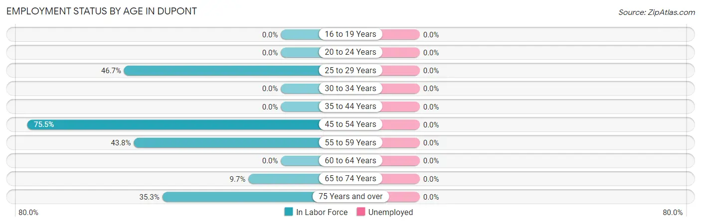 Employment Status by Age in Dupont