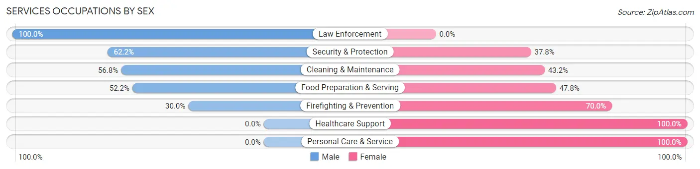 Services Occupations by Sex in Elkins