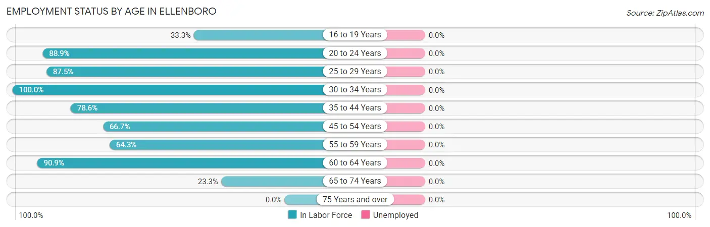Employment Status by Age in Ellenboro
