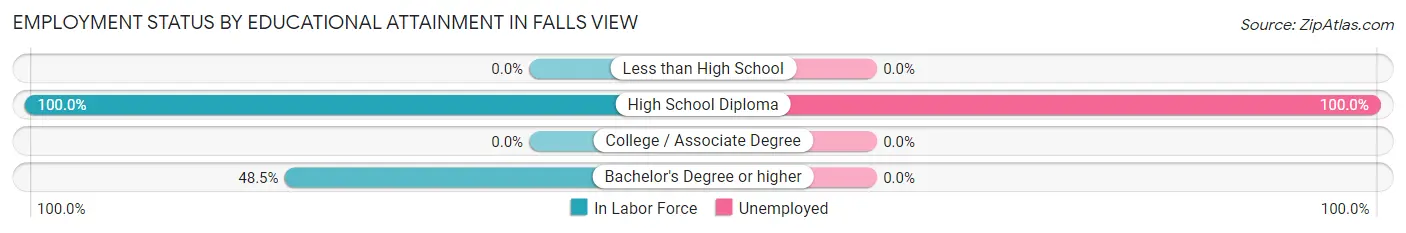 Employment Status by Educational Attainment in Falls View