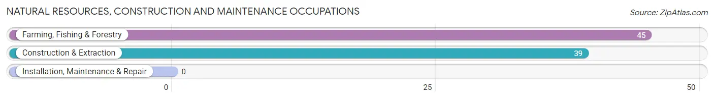 Natural Resources, Construction and Maintenance Occupations in Fort Ashby