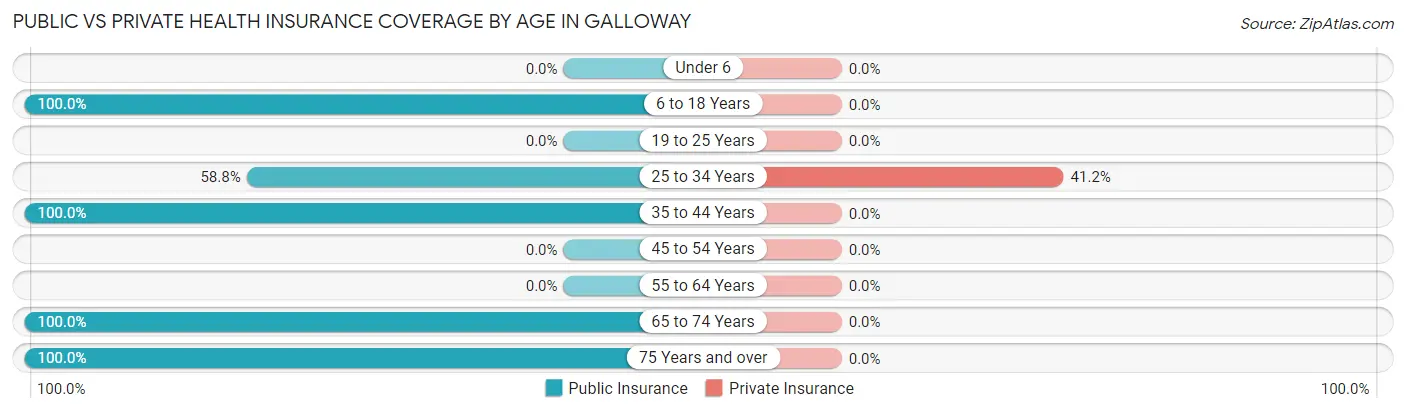 Public vs Private Health Insurance Coverage by Age in Galloway