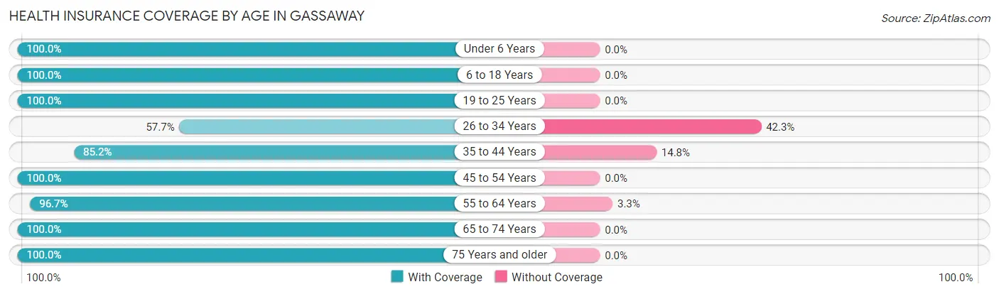 Health Insurance Coverage by Age in Gassaway