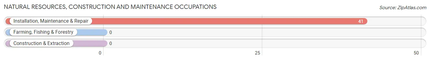 Natural Resources, Construction and Maintenance Occupations in Gatewood