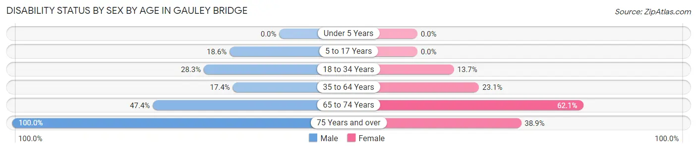 Disability Status by Sex by Age in Gauley Bridge