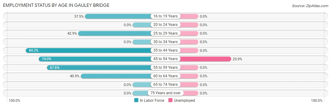 Employment Status by Age in Gauley Bridge