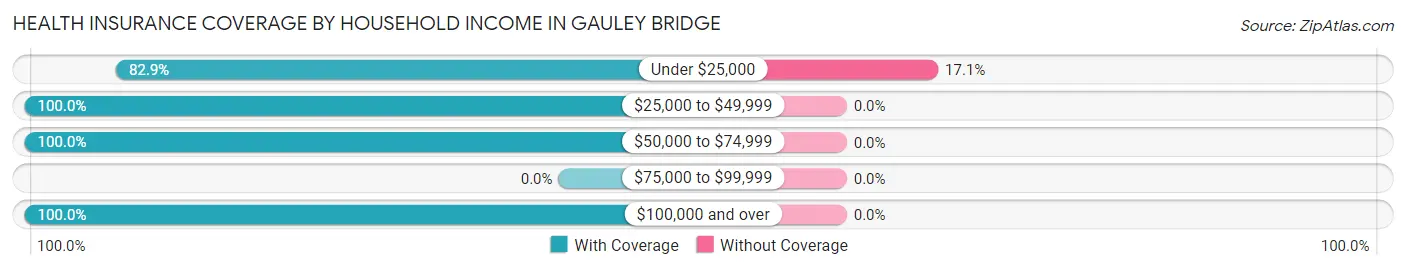 Health Insurance Coverage by Household Income in Gauley Bridge