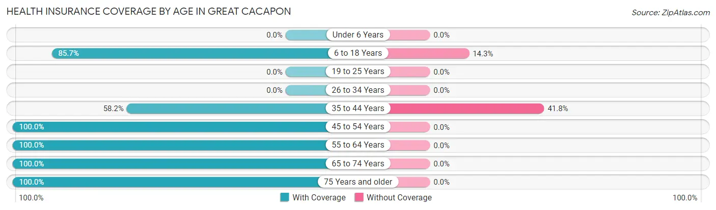 Health Insurance Coverage by Age in Great Cacapon