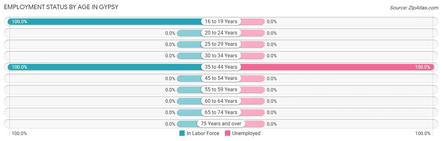 Employment Status by Age in Gypsy