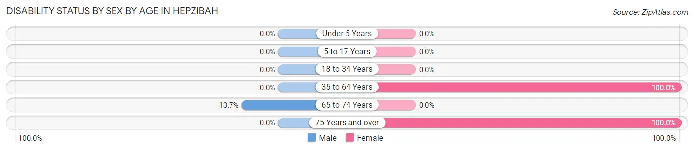 Disability Status by Sex by Age in Hepzibah