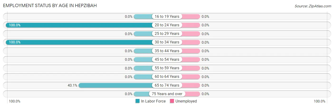 Employment Status by Age in Hepzibah