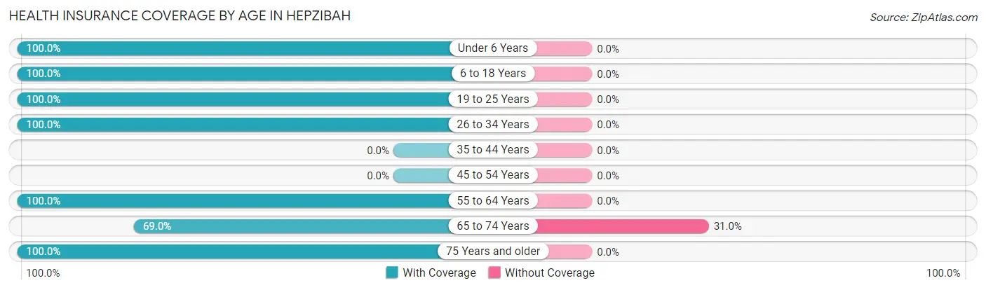Health Insurance Coverage by Age in Hepzibah