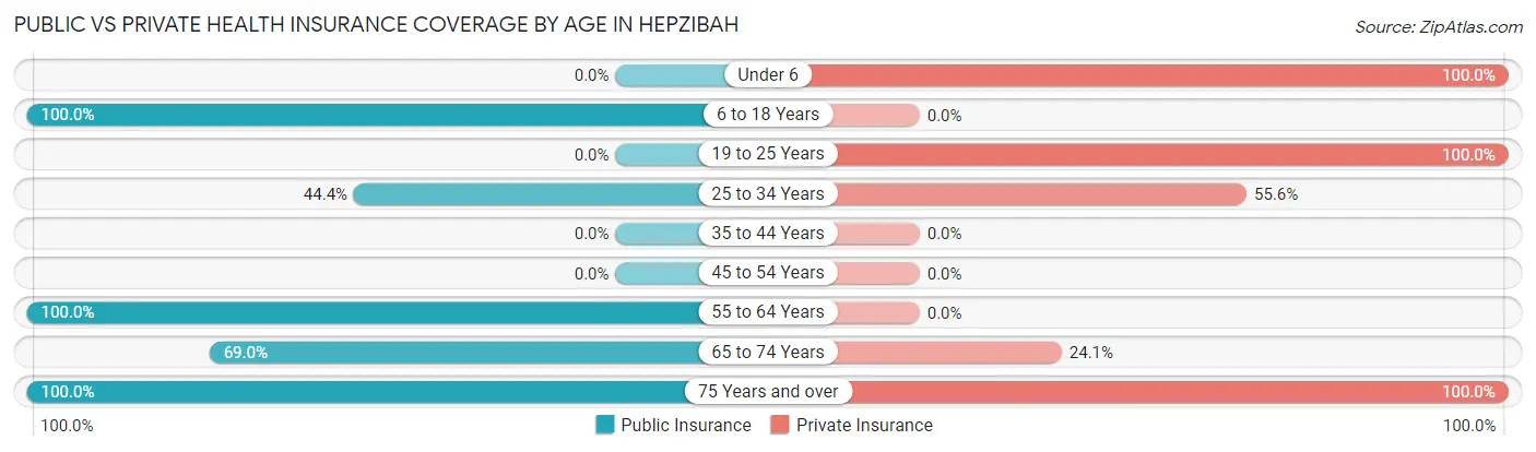 Public vs Private Health Insurance Coverage by Age in Hepzibah