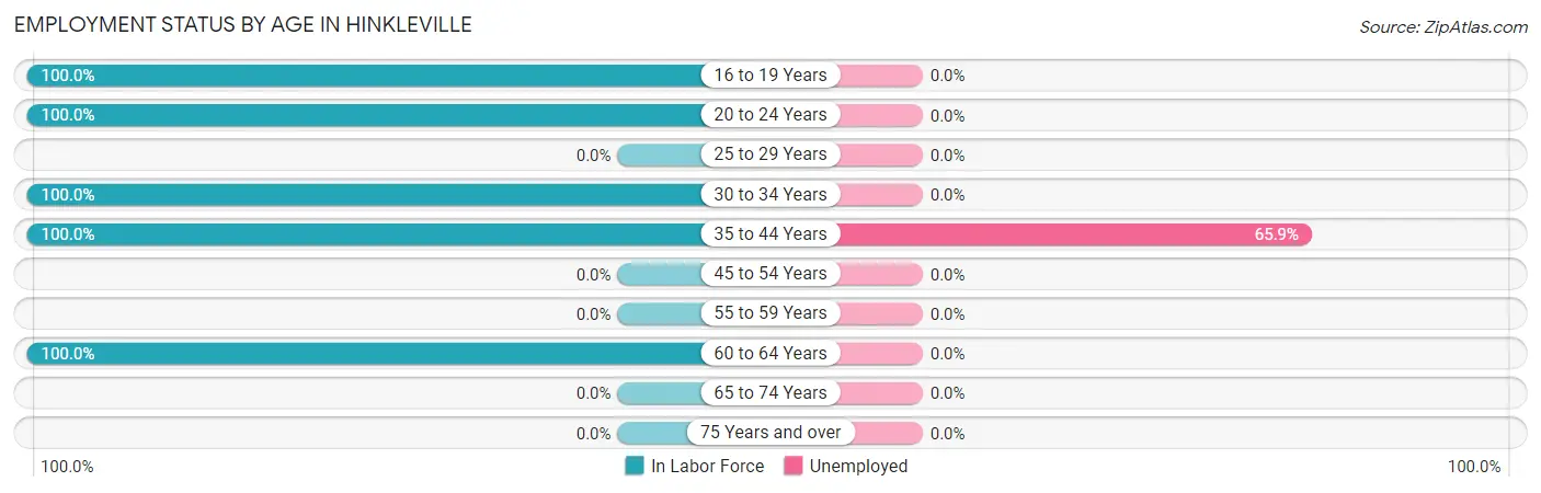 Employment Status by Age in Hinkleville
