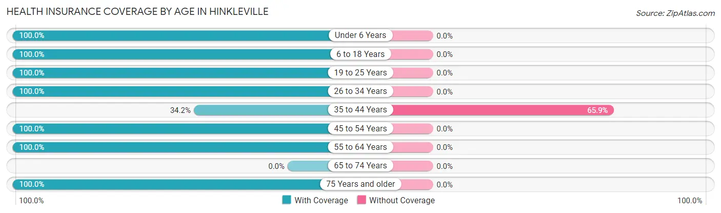 Health Insurance Coverage by Age in Hinkleville
