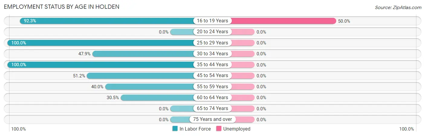 Employment Status by Age in Holden
