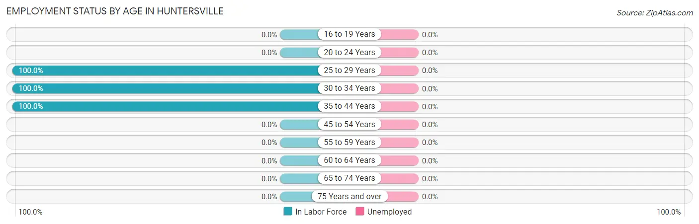 Employment Status by Age in Huntersville